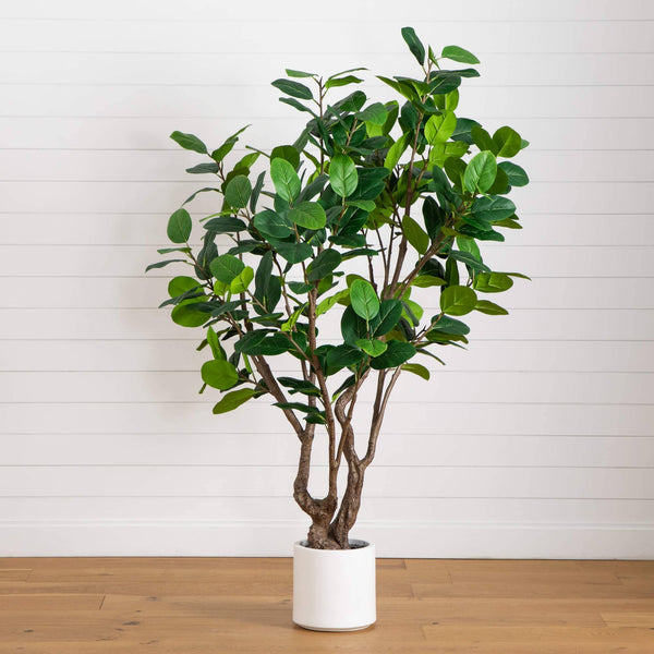 6’ Artificial Grand Audrey Ficus Leaf Tree in White Decorative Planter