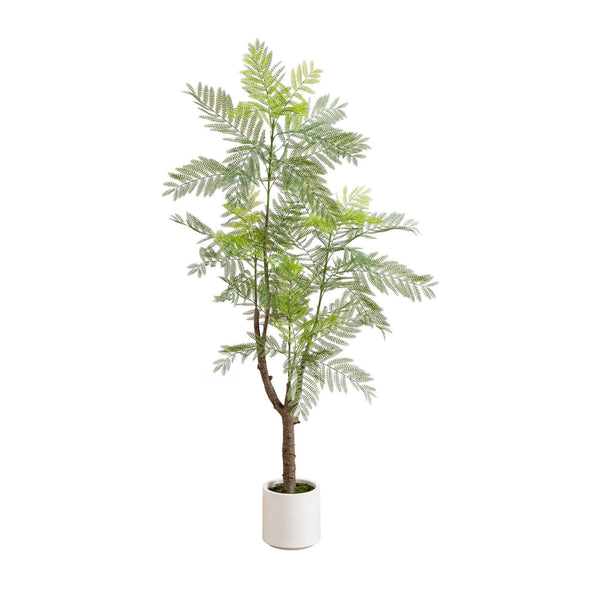 6’ Artificial Jacaranda Tree in White Decorative Planter