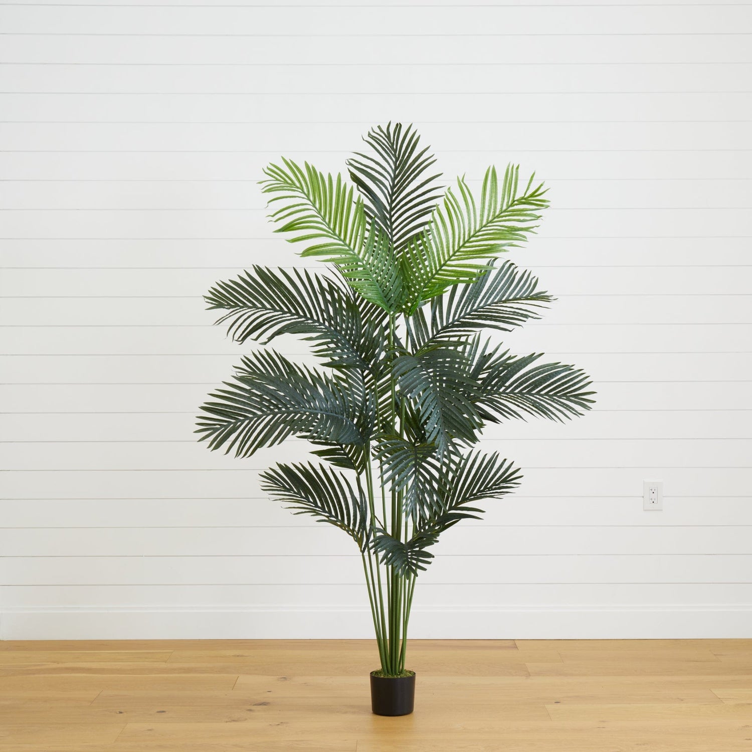 6’ Artificial Paradise Palm Tree