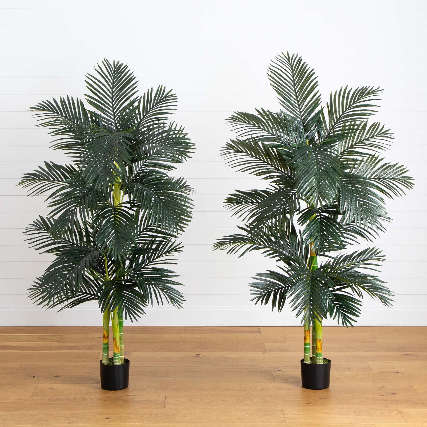 6’ Artificial Triple Stalk Golden Cane Palm Tree- Set of 2