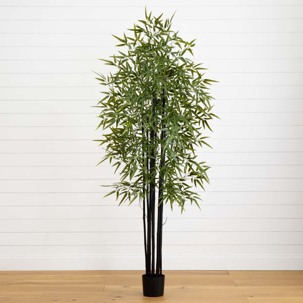 6' Black Bamboo Tree UV Resistant (Indoor/Outdoor)