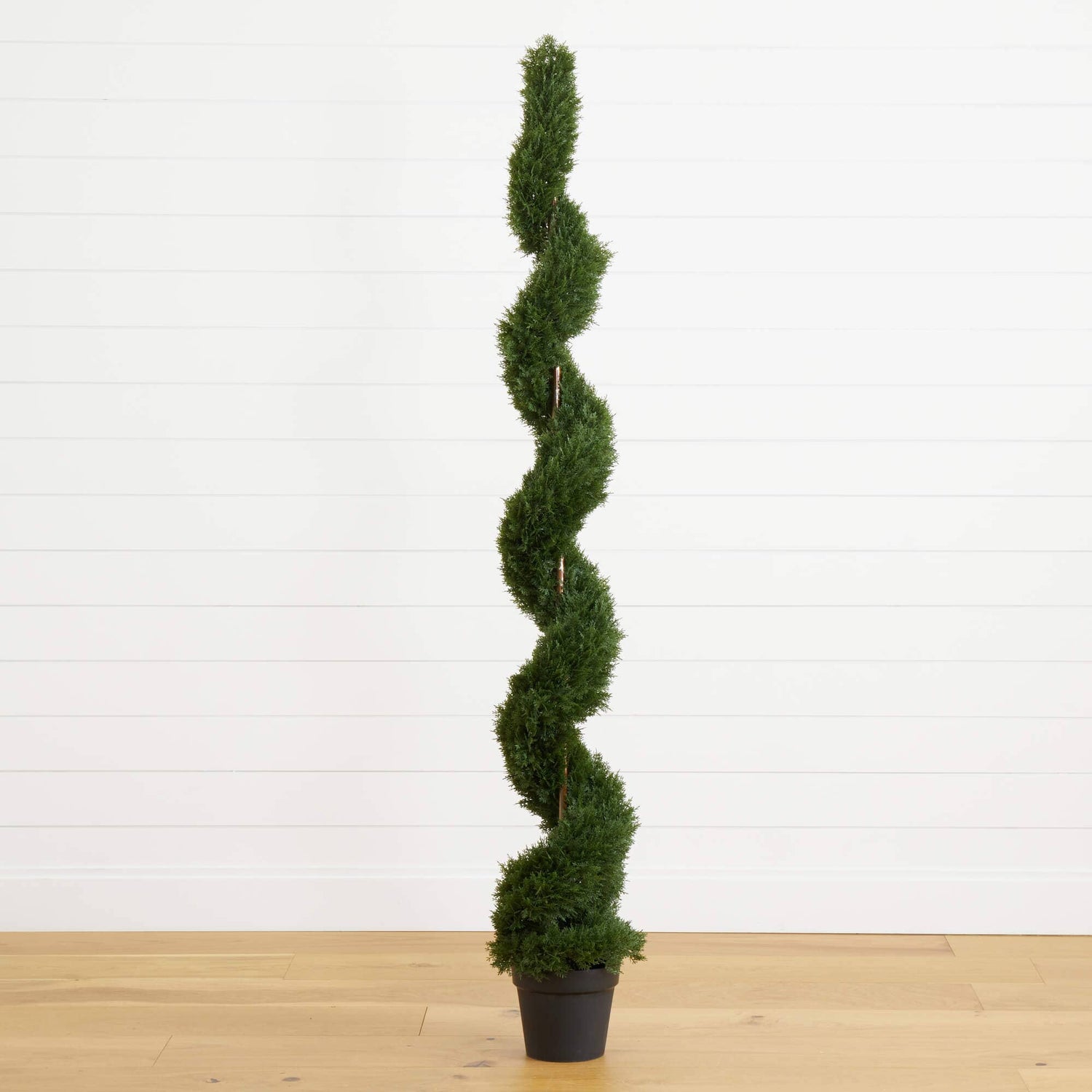 6' Cedar Spiral Silk Tree (In-door/Out-door)