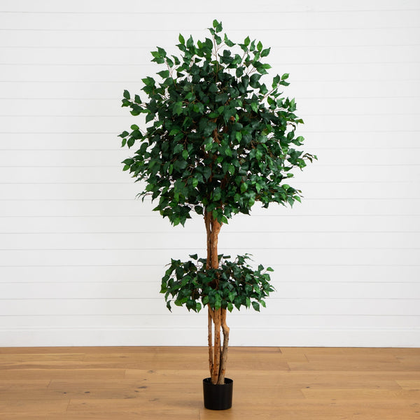 6' Double Ball Ficus Silk Tree