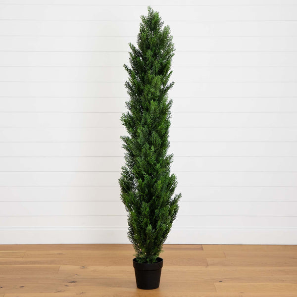 6' Mini Cedar Pine Tree (Indoor/Outdoor)