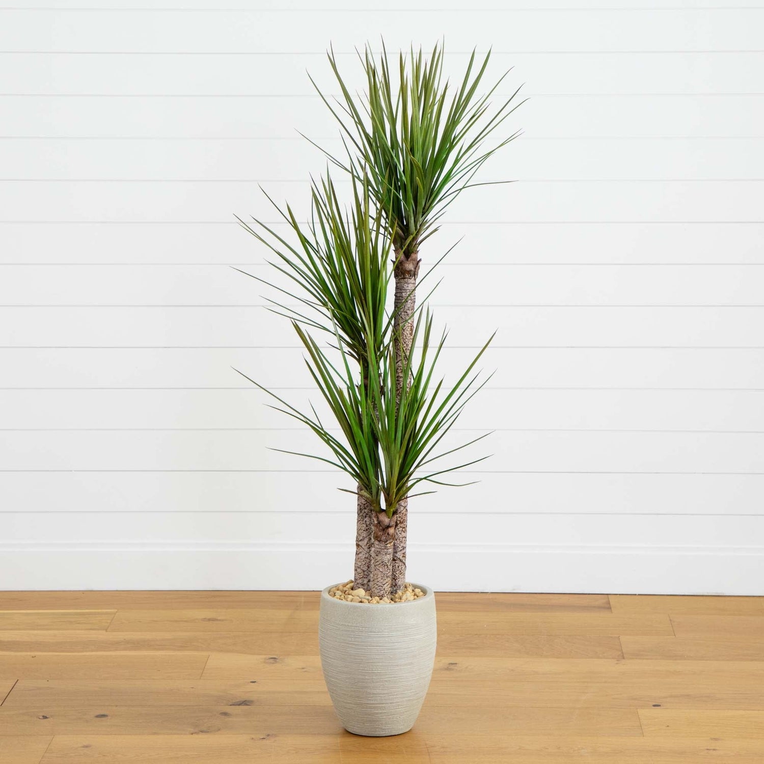 64” Yucca Artificial Tree in Sand Colored Planter