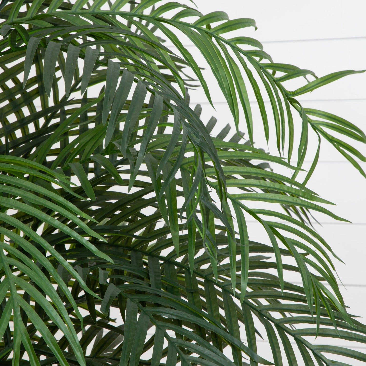 6.5' Areca Palm UV Resistant (Indoor/Outdoor)