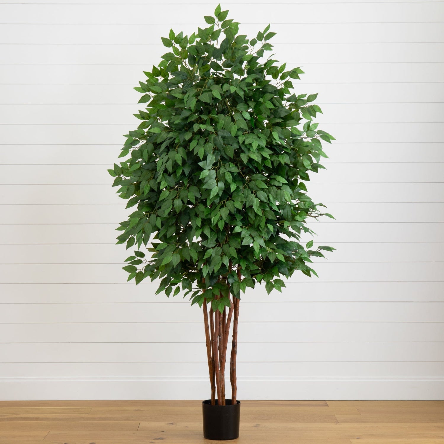 6.5’ Deluxe Ficus Tree