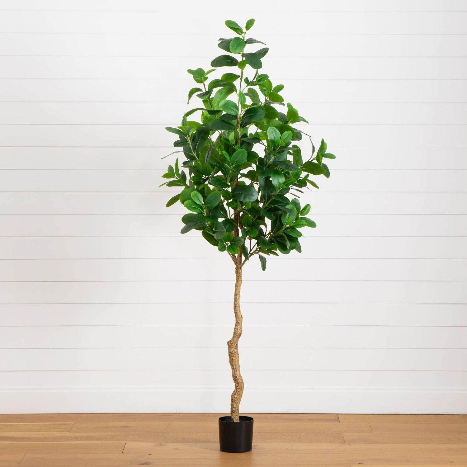 7’ Artificial Audrey Ficus Tree