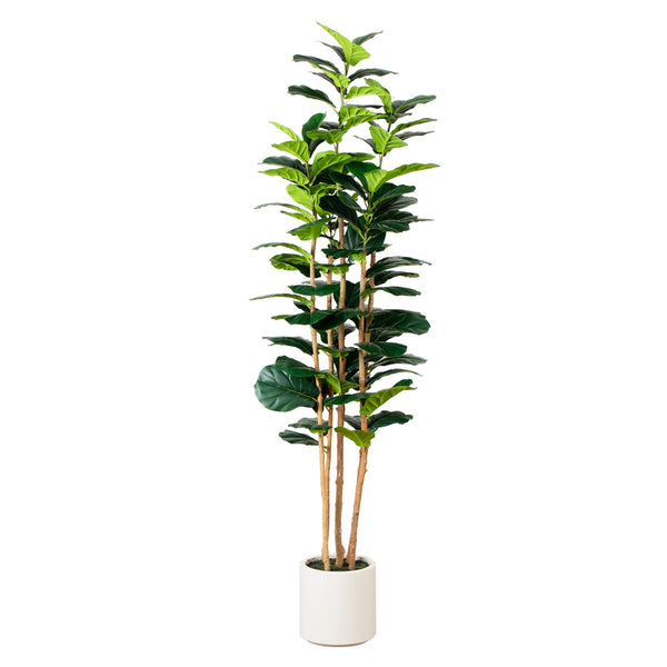 7’ Artificial Fiddle Leaf Tree in Decorative White Planter