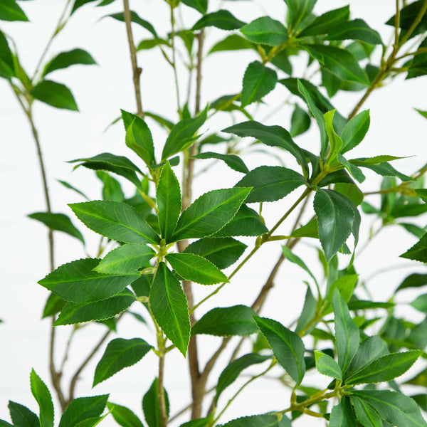 7’ Artificial Minimalist Japanese Pieris Tree with Real Touch Leaves