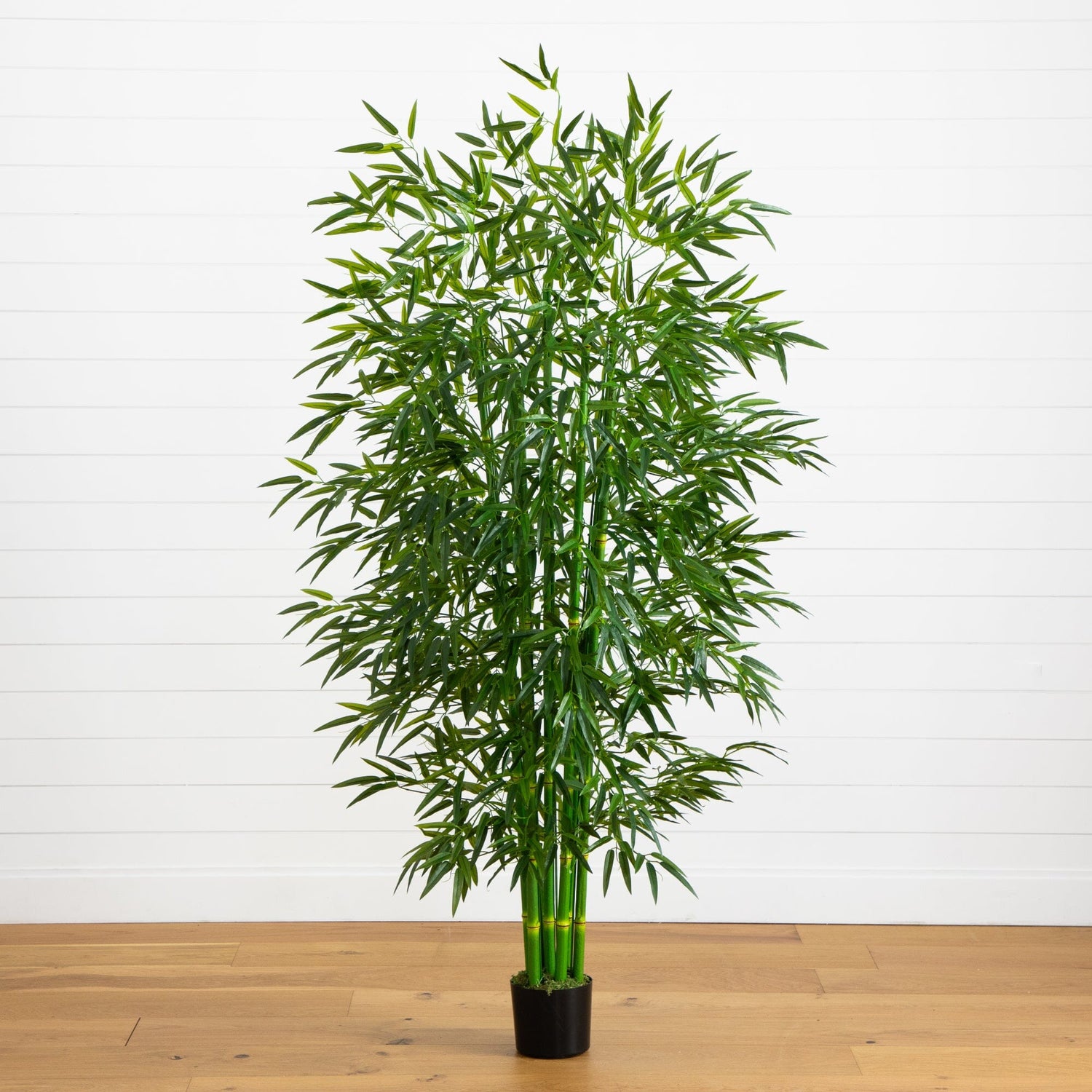 7' Bamboo Tree UV Resistant (Indoor/Outdoor)