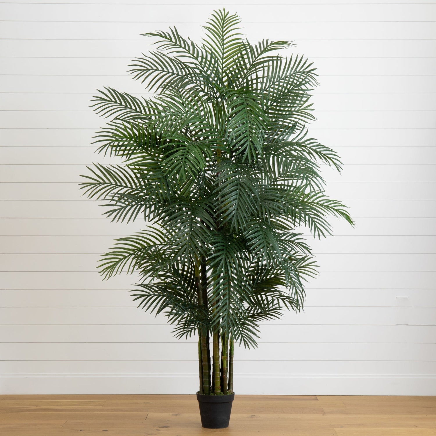 7.5' Areca Palm W/1966 Lvs UV Resistant (Indoor/Outdoor)