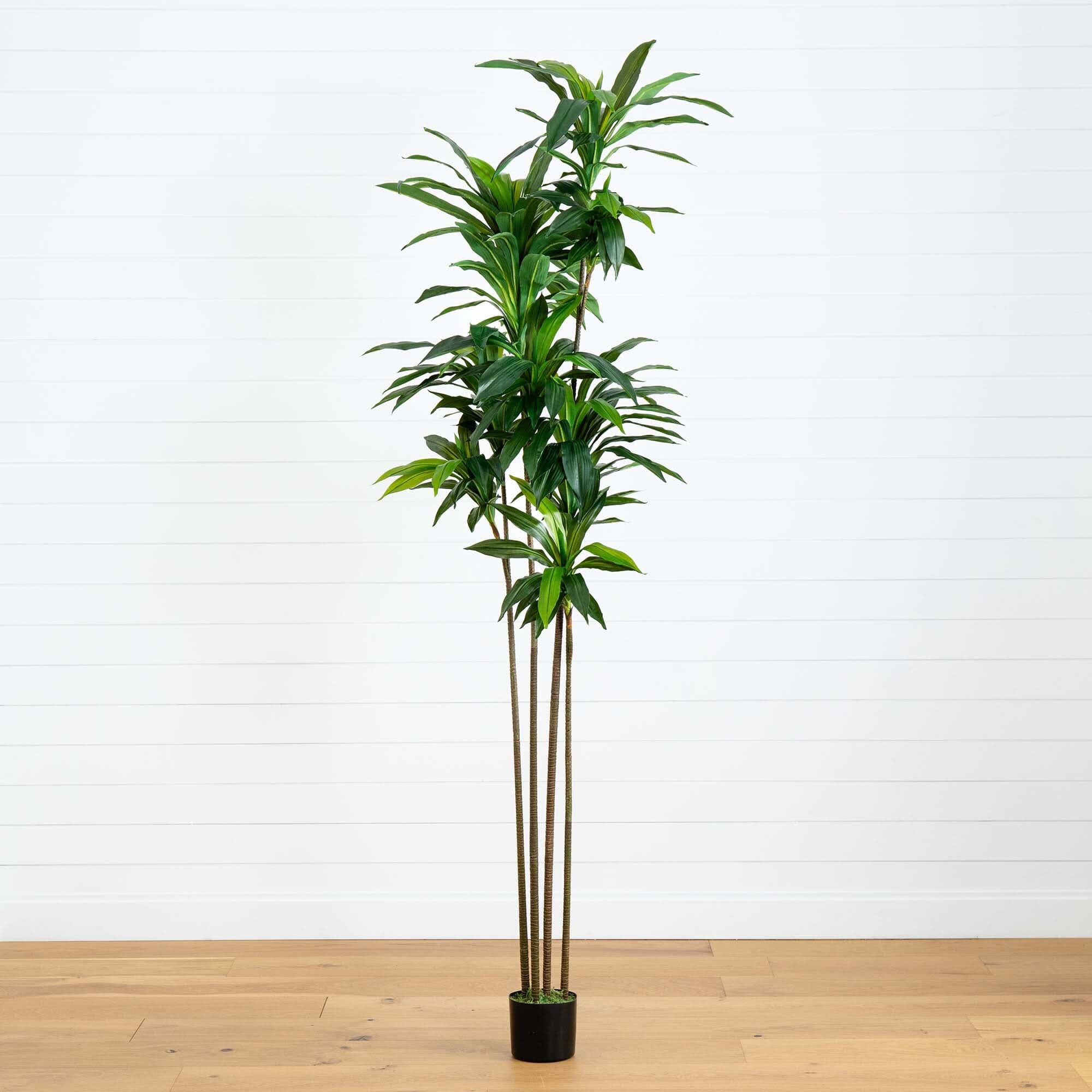 43 Inch Nearly Natural Dracaena Silk (Real Touch) outlet Artificial Plant, Green