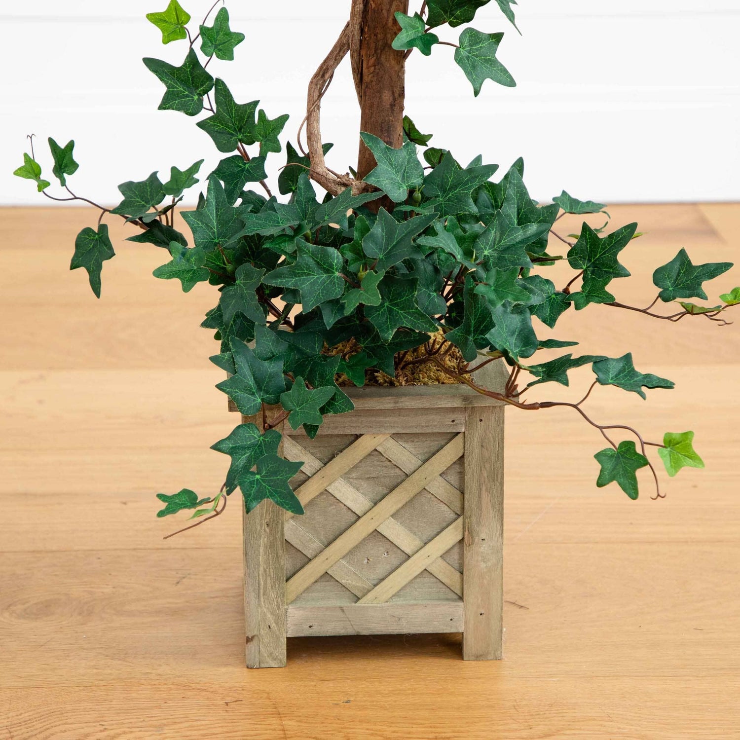 Bougainvillea Topiary w/Wood Box