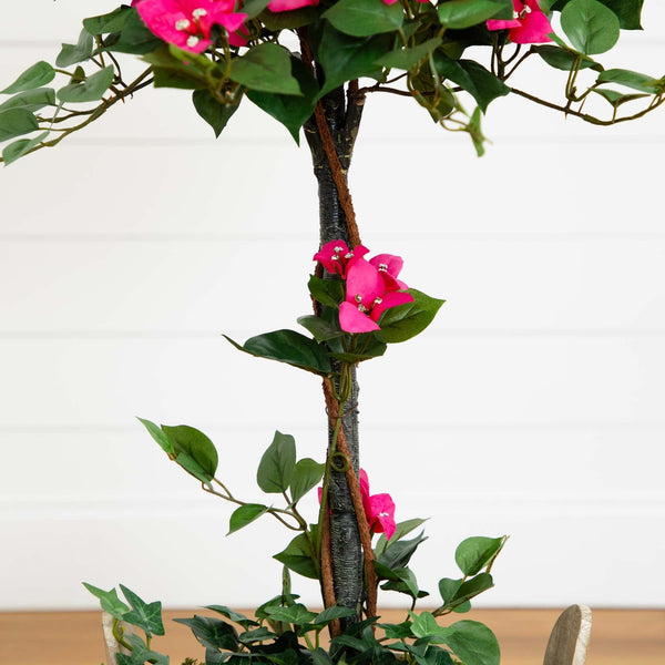 Bougainvillea Tree with European Barrel Planter