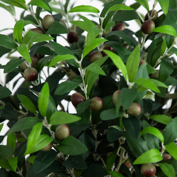 Olive Topiary Tree with Farmhouse Planter