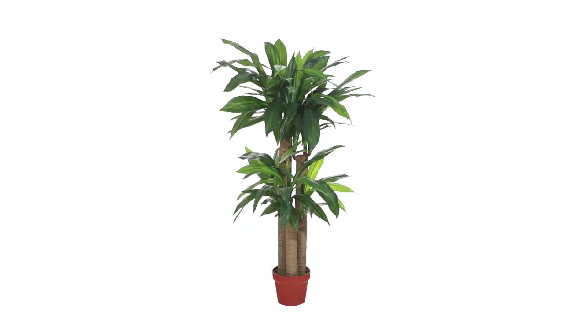 4' outlet Real Touch Corn Stalk Dracaena Artificial Plant,sdh