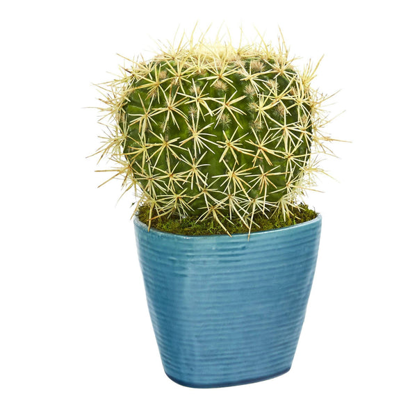 11” Cactus Succulent Artificial Plant in Blue Planter