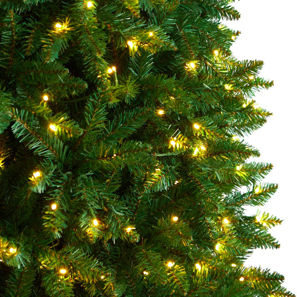 11’ Slim Green Mountain Pine Christmas Tree with 950 Clear LED Lights and 2836 Bendable Branches