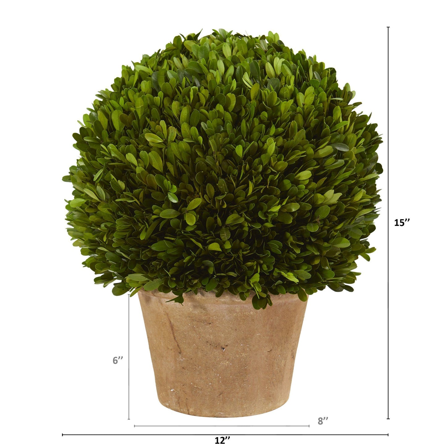 15” Boxwood Ball Preserved Plant in Planter | Nearly Natural