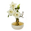 16” Anemone Arrangement in Gold and Cream Elegant Vase