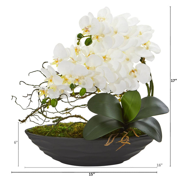 17” Phalaenopsis Orchid Arrangement in Decorative Planter