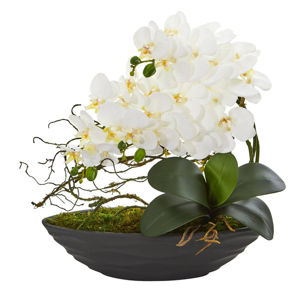 17” Phalaenopsis Orchid Arrangement in Decorative Planter