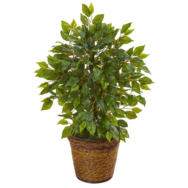 18” Mini Ficus Artificial Tree in Basket