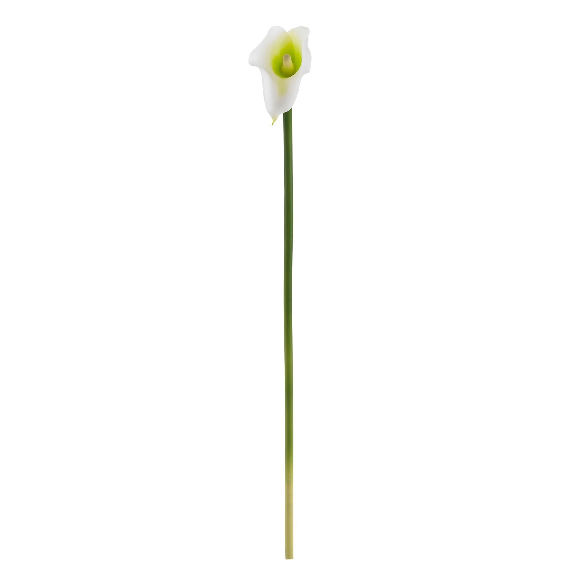 19.5” Calla Lily Artificial Flower (Set of 12) 2113-S12 Nearly Natural