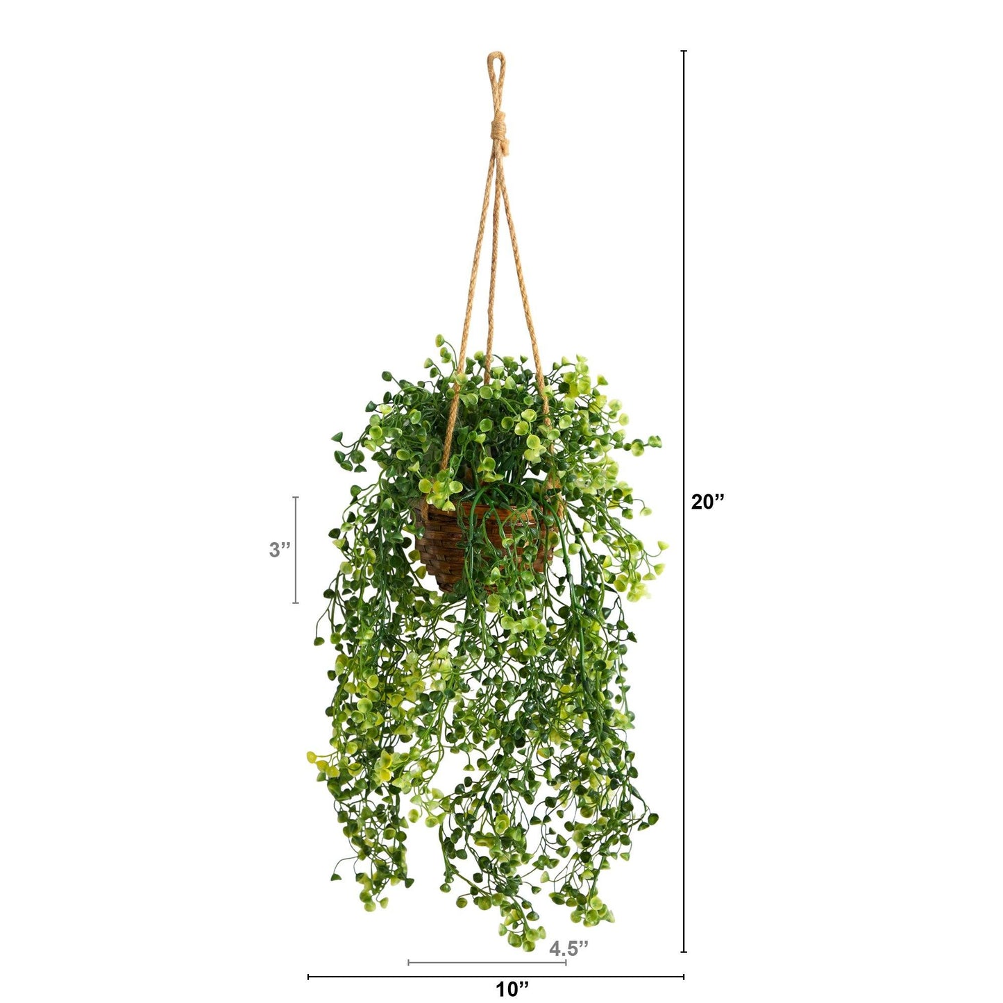 20” Baby Tear Artificial Plant in Hanging Basket | Nearly Natural