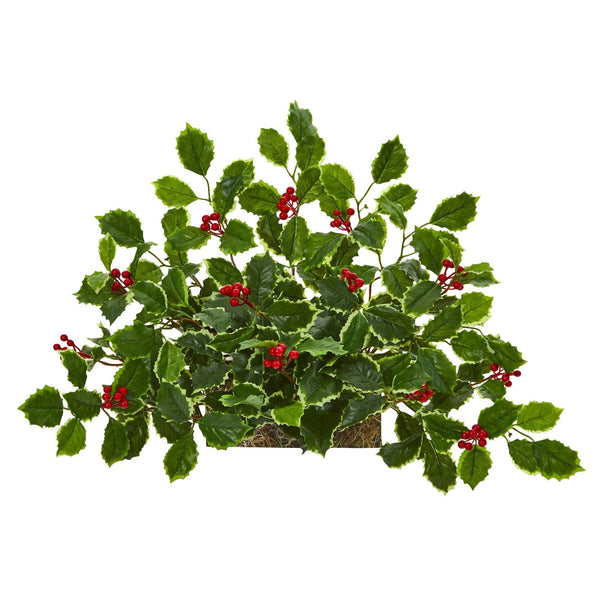 20” Variegated Holly with Berries Artificial Ledge Plant (Real Touch)