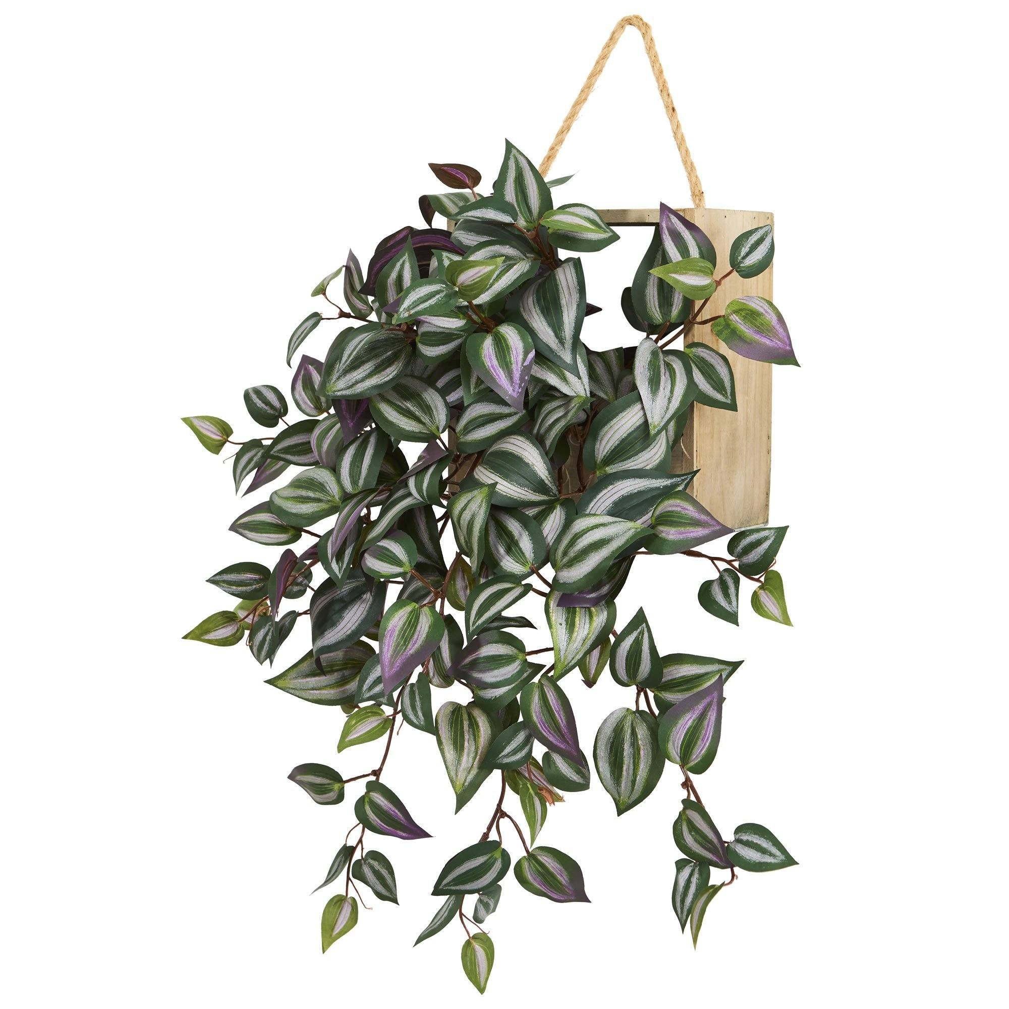 20” Wandering Jew Artificial Plant In Decorative Hanging Frame | Nearly ...