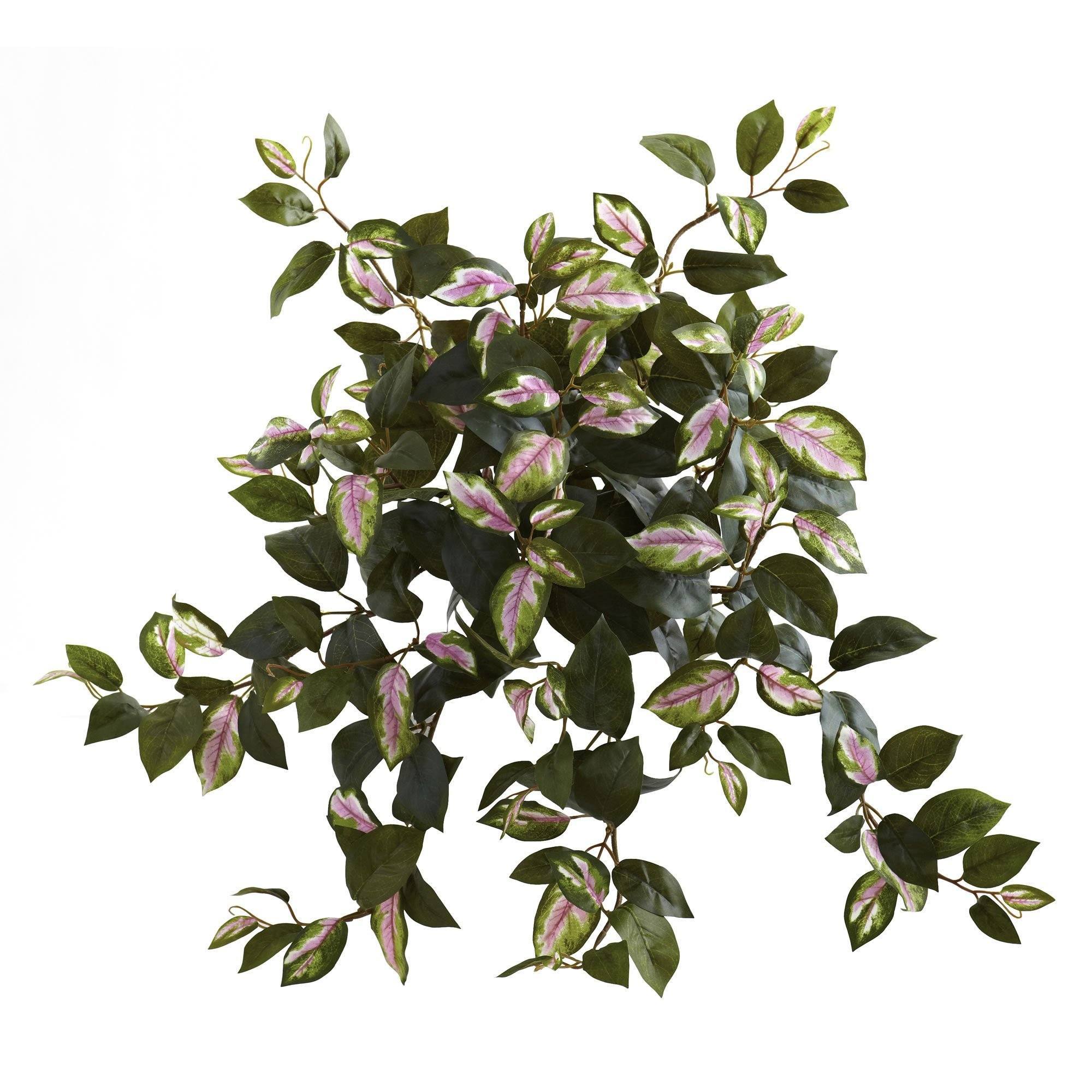 21” Hoya Hanging Bush (Set of 4) | Nearly Natural