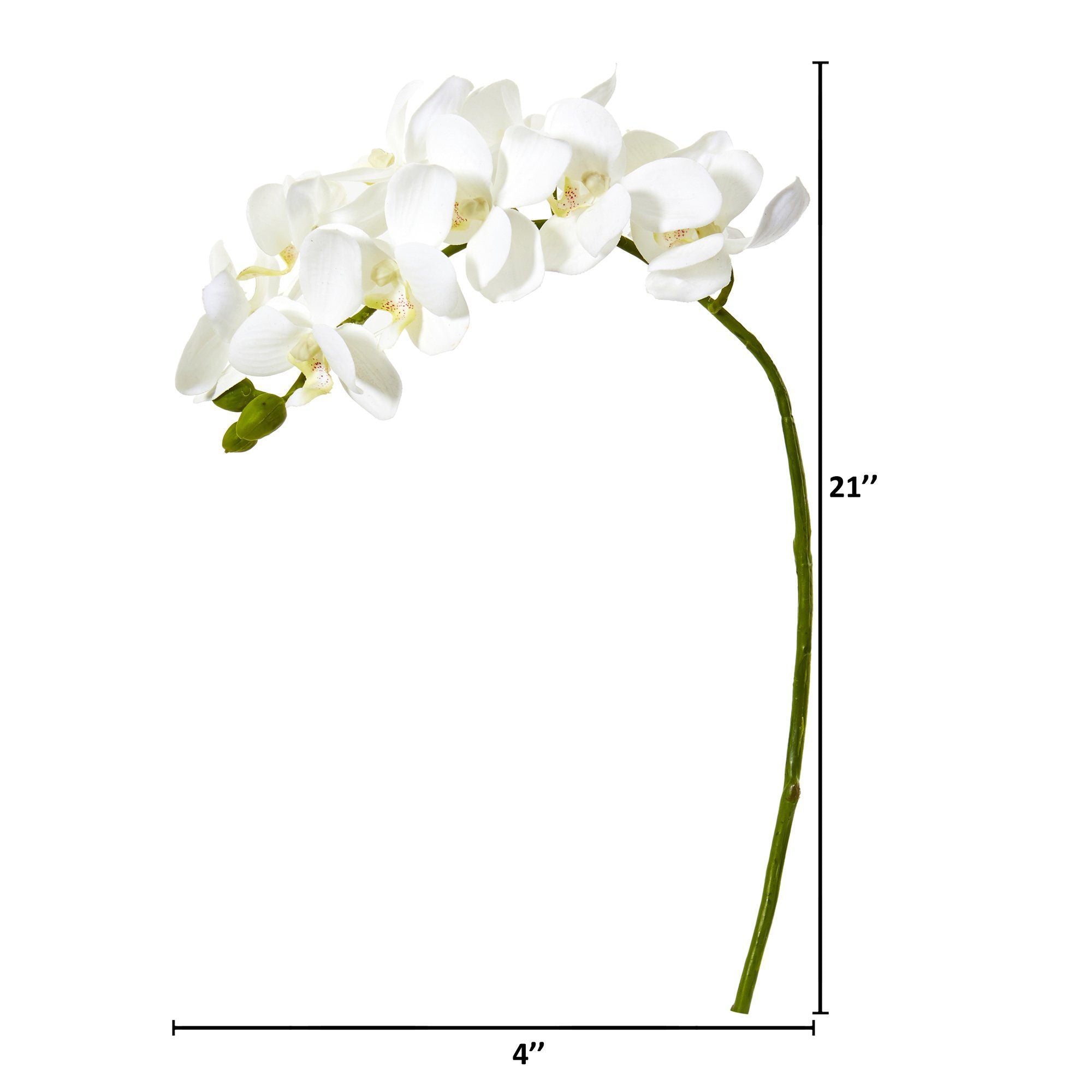 21” Phalaenopsis Orchid Artificial Flower (Set Of 6) 2268-S6 Nearly Natural