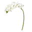 21” Artificial Phalaenopsis Orchid Flower (Set of 6)