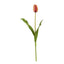 23” Dutch Tulip Artificial Flower (Set of 12)