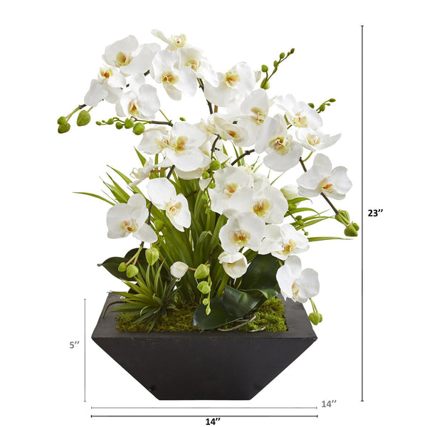 23” Phalaenopsis Orchid and Succulent Artificial Arrangement in Vase ...