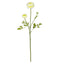 23" Ranunculus Stem (Set of 12)"