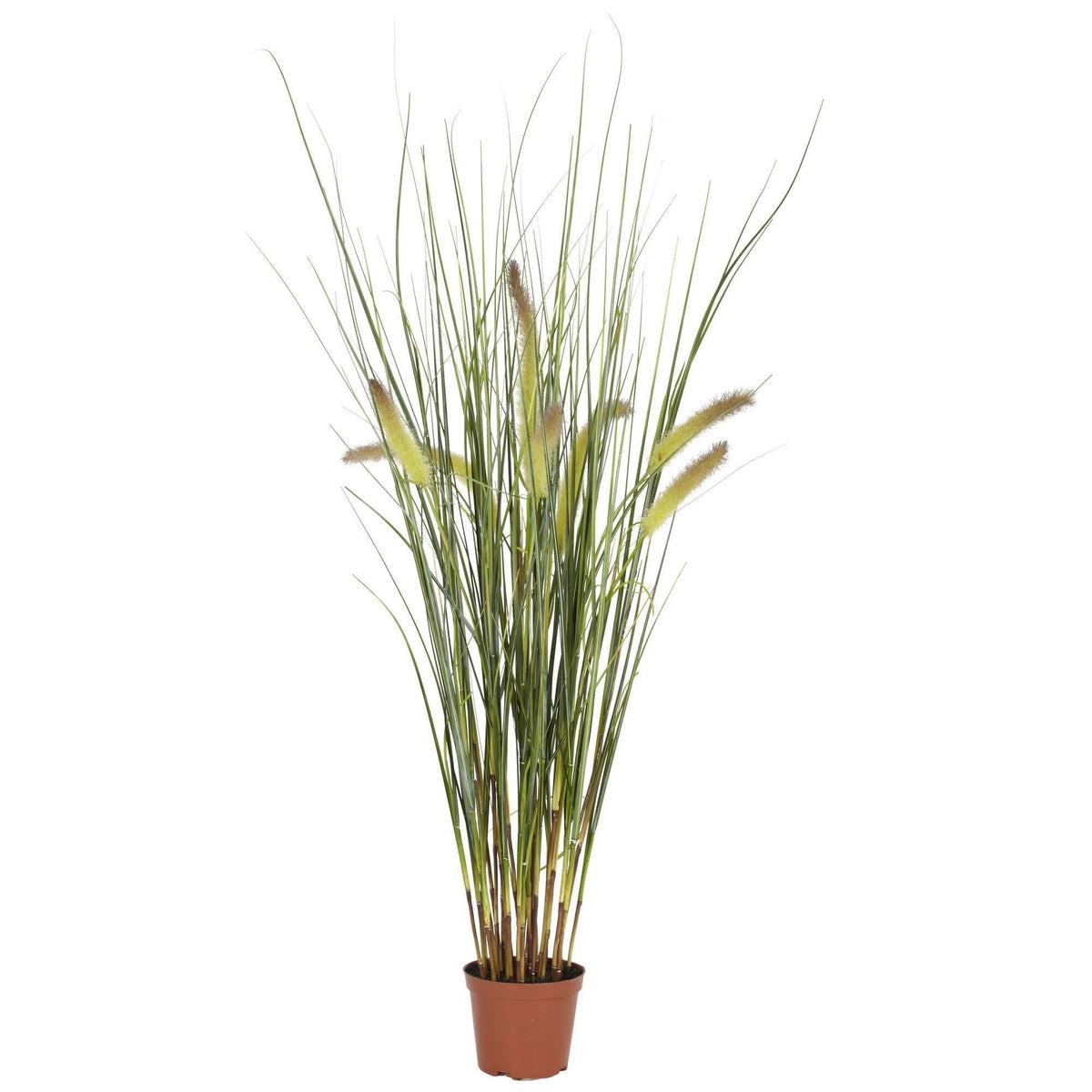 Silk Grass Plants | Fake Grass Plants | Fake Plants | Nearly Natural