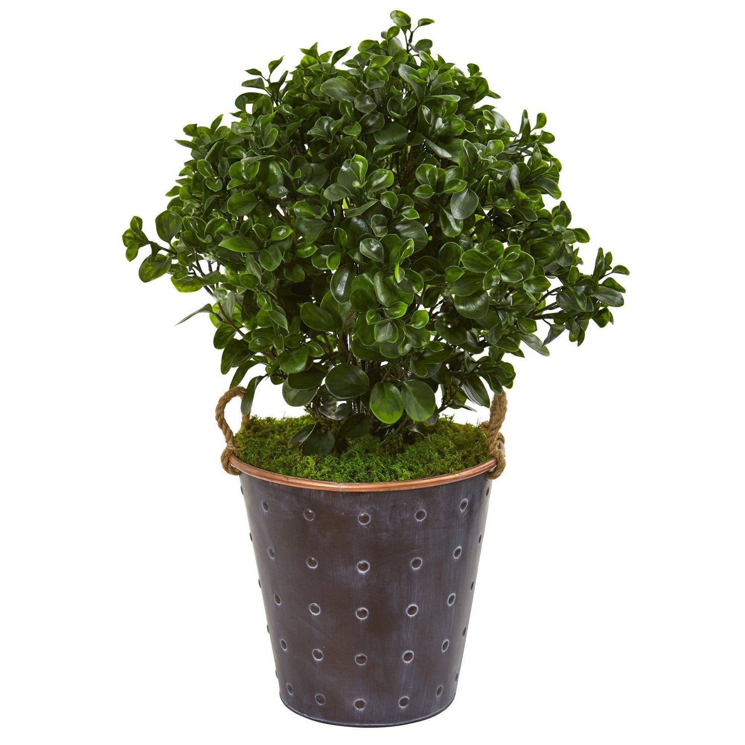 2.5’ Peperomia Artificial Plant in Metal Planter UV Resistant (Indoor ...