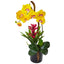 26” Orchid and Bromeliad in Glossy Black Cylinder