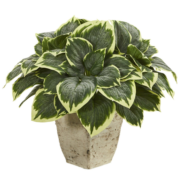 26” Variegated Hosta Artificial Plant in Country White Planter