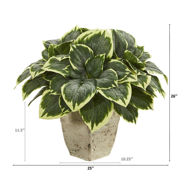 26” Variegated Hosta Artificial Plant in Country White Planter