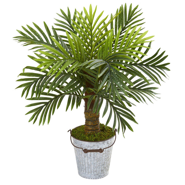 27” Robellini Palm Artificial Tree in White Washed Vintage Metal Pail