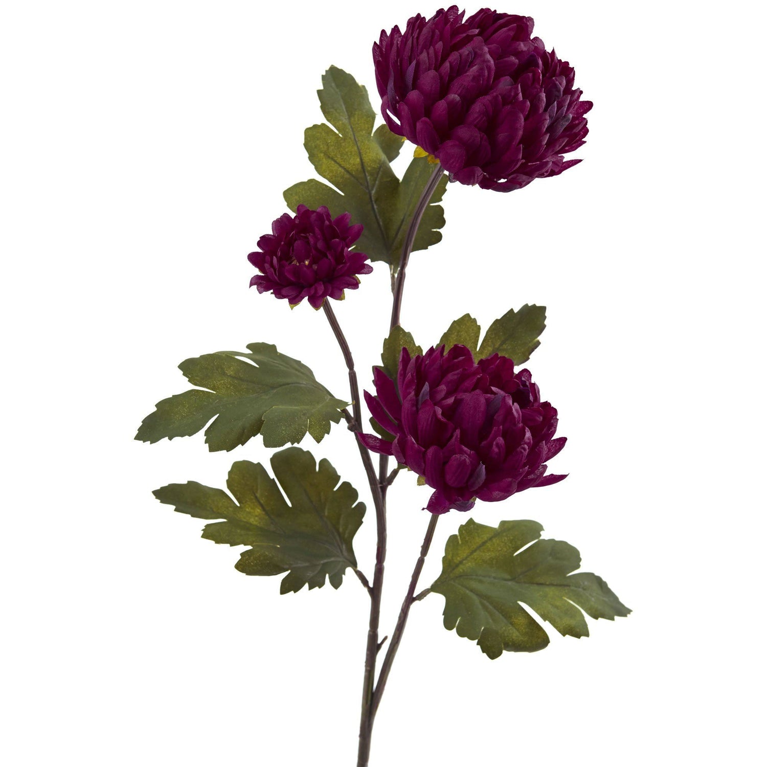 https://www.nearlynatural.com/cdn/shop/products/artificial-29-chrysanthemum-artificial-flower-set-of-12-nearly-natural-138181.jpg?v=1584150065&width=1500