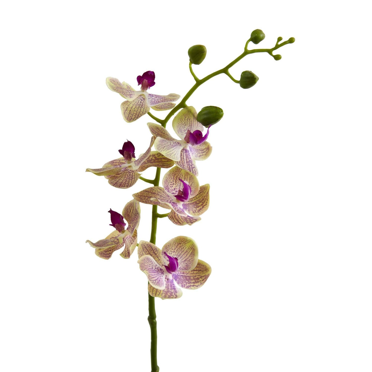 Nearly Natural Phalaenopsis Silk Orchid Flower Stems - Mauve, Set