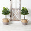 3’ Artificial Fiddle Leaf Fig Tree with Handmade Cotton & Jute Woven Planter DIY Kit - Set of 2