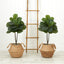 3’ Artificial Fiddle Leaf Fig Tree with Handmade Cotton & Jute Woven Planter DIY Kit - Set of 2