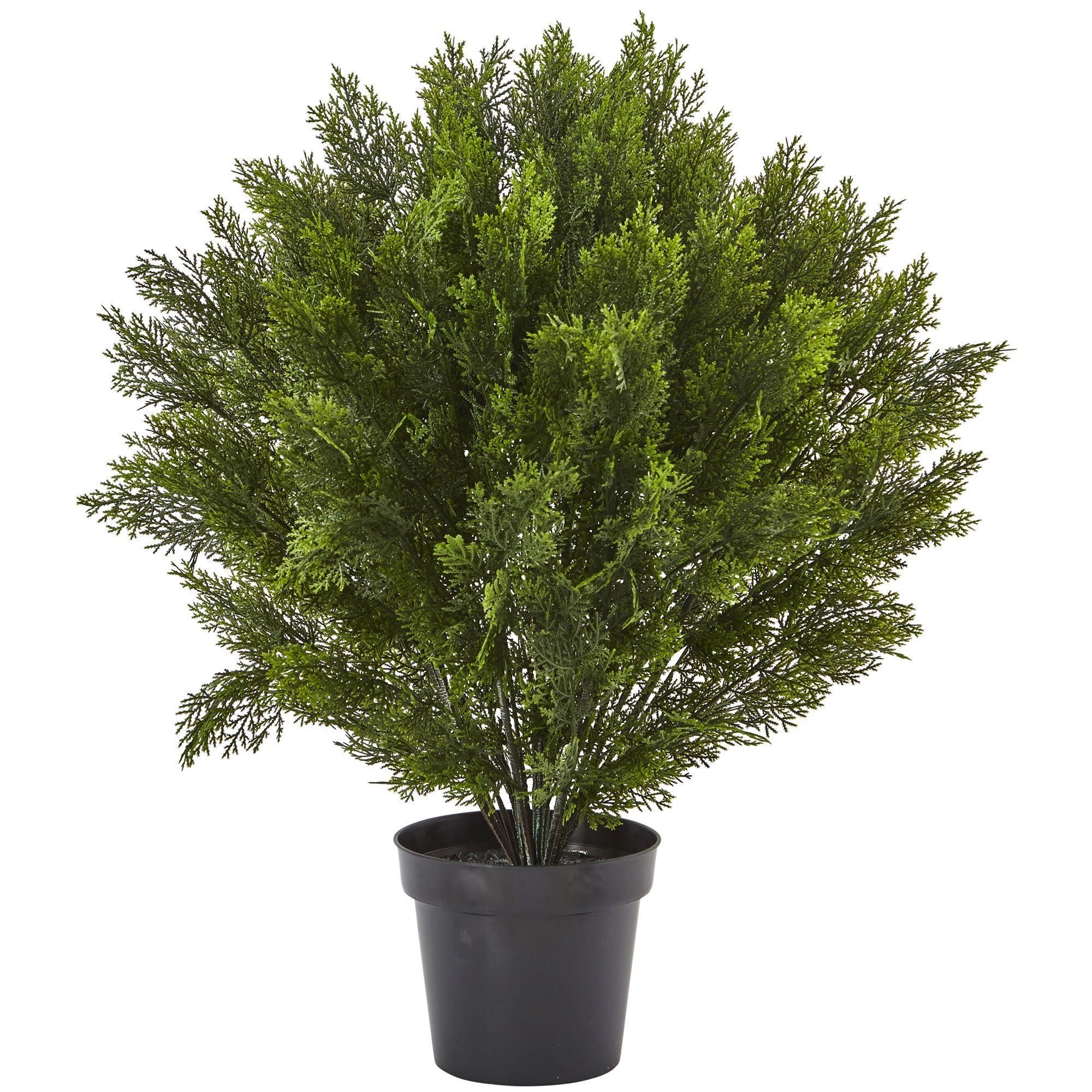 3’ Cedar Bush (Indoor/Outdoor) | Nearly Natural