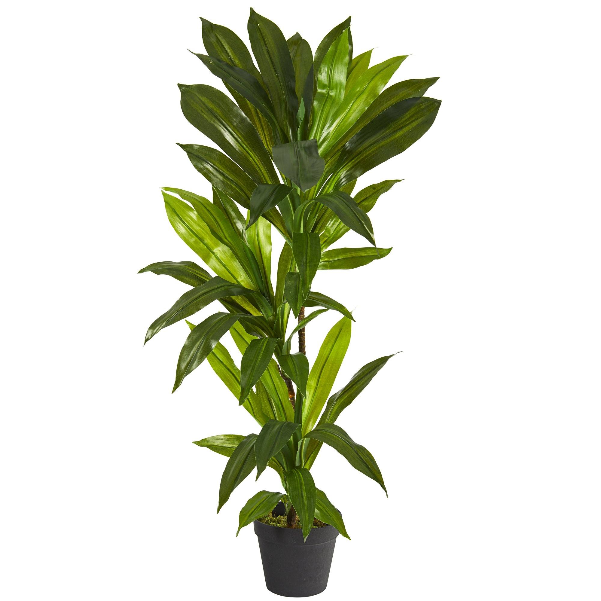 3' Dracaena Artificial Plant (Real Touch) | Nearly Natural